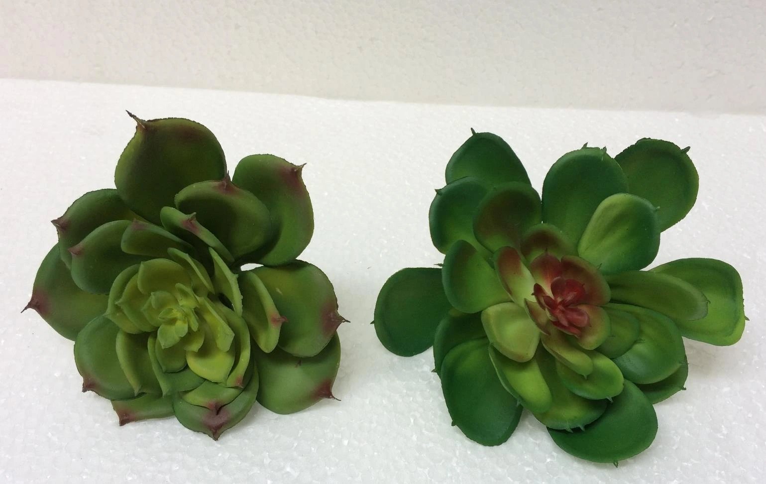 Rubber bonsai rose Big